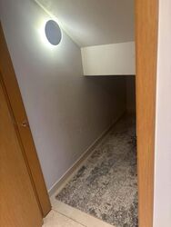 Mon Jervois (D10), Condominium #593047941